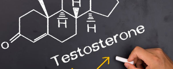 boosters de testostérone naturels