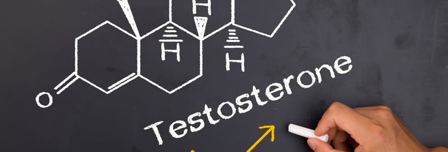 boosters de testostérone naturels